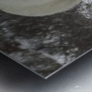 Polar Bear Metal print