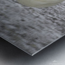 Polar Bear 4578 Metal print