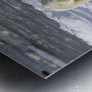 Polar Bear Mother and Cubs Metal print