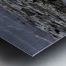 Polar Bear Mother Standing Metal print