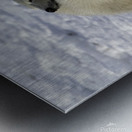 Polar Bear Mother and Cubs Metal print