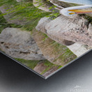 Pelicans 9847 Metal print