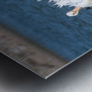 Pelicans 0150 Metal print