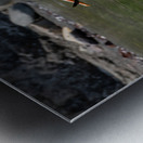 Pelicans 9989 Metal print