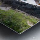 Pelicans 0008 Metal print