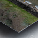 Pelicans 9972 Metal print