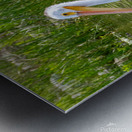 Pelicans 9837 Metal print