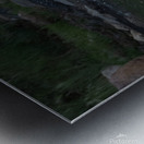 Pelicans 0292 Metal print