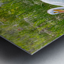 Pelicans 9836 Metal print