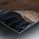 Elephant 7937 Metal print