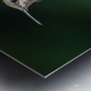 Female Ruby throated Hummingbird 0974 Metal print