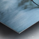 Female Ruby throated Hummingbird 1409 Metal print