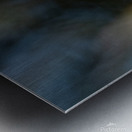 Female Ruby throated Hummingbird 1384 Metal print