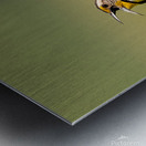 Western Meadowlark 9602 Metal print