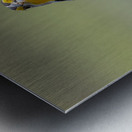 Western Meadowlark 0452 Metal print