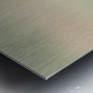 Western Meadowlark 0421 Metal print