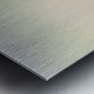 Western Meadowlark 0428 Metal print