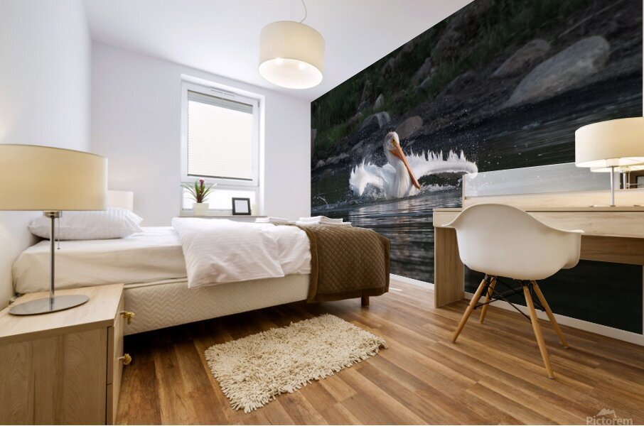 Pelicans 0292 Mural print