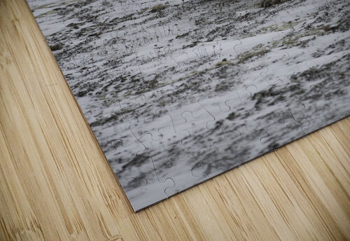 Polar Bear 4578 Bryan Bosley puzzle