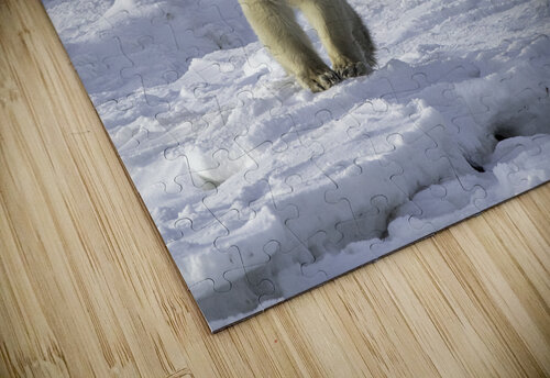 Polar Bear Mother and Cubs Bryan Bosley puzzle