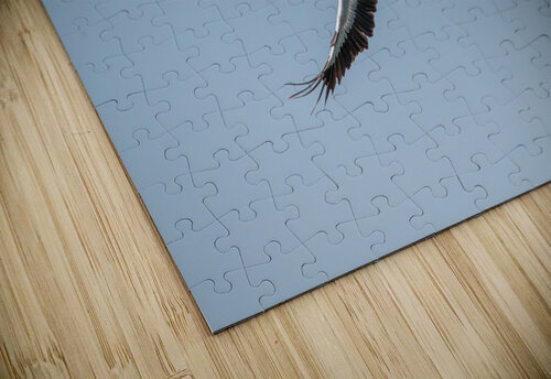 Pelicans 0651 Bryan Bosley puzzle