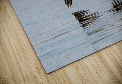 Pelicans 0253 Bryan Bosley puzzle