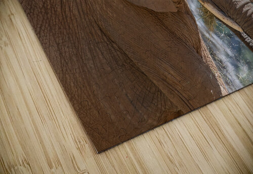 Elephant 7937 Bryan Bosley puzzle