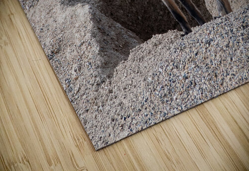 Red Fox 9081 Bryan Bosley puzzle