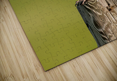 Western Meadowlark 9602 Bryan Bosley puzzle