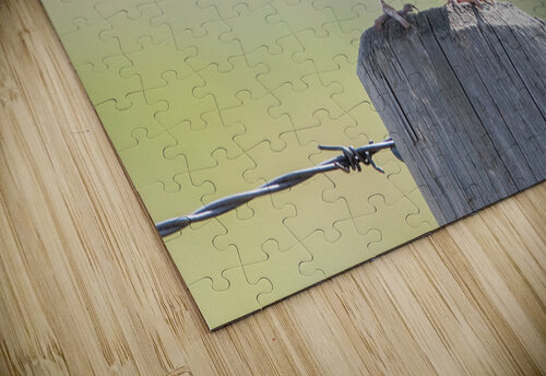 Western Meadowlark 0421 Bryan Bosley puzzle