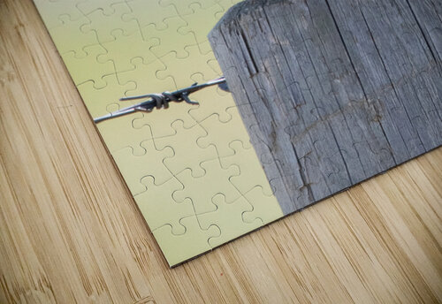 Western Meadowlark 0428 Bryan Bosley puzzle