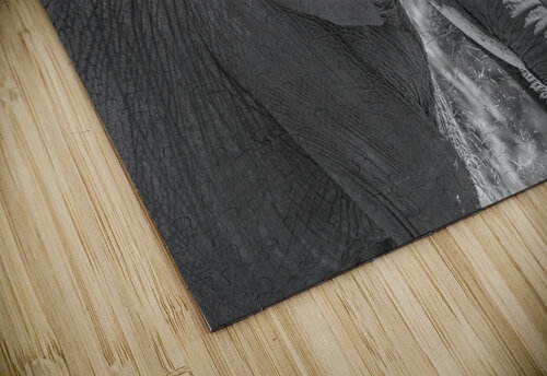 Elephant BW 7937 Bryan Bosley puzzle