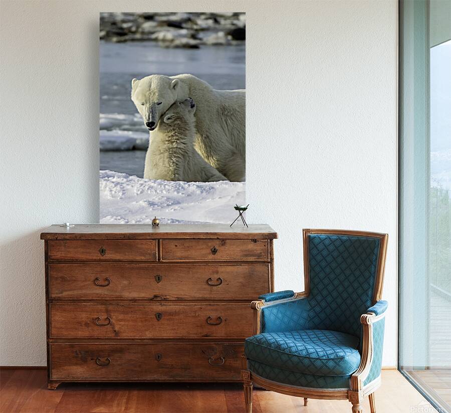 Polar Bear Mother and Cub Reproduction