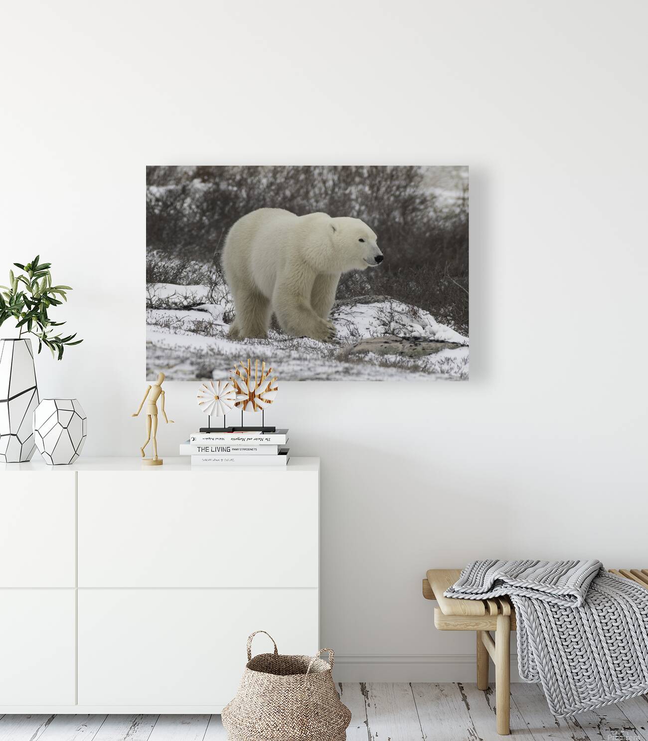 Polar Bear Reproduction