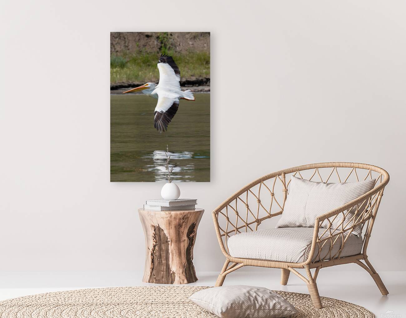 Pelicans 9976 Reproduction