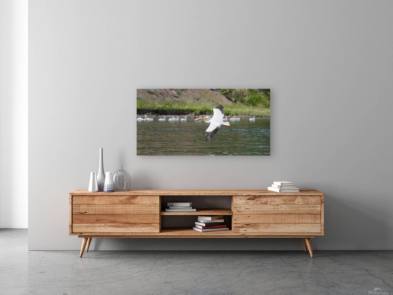 Pelicans 9972 Reproduction