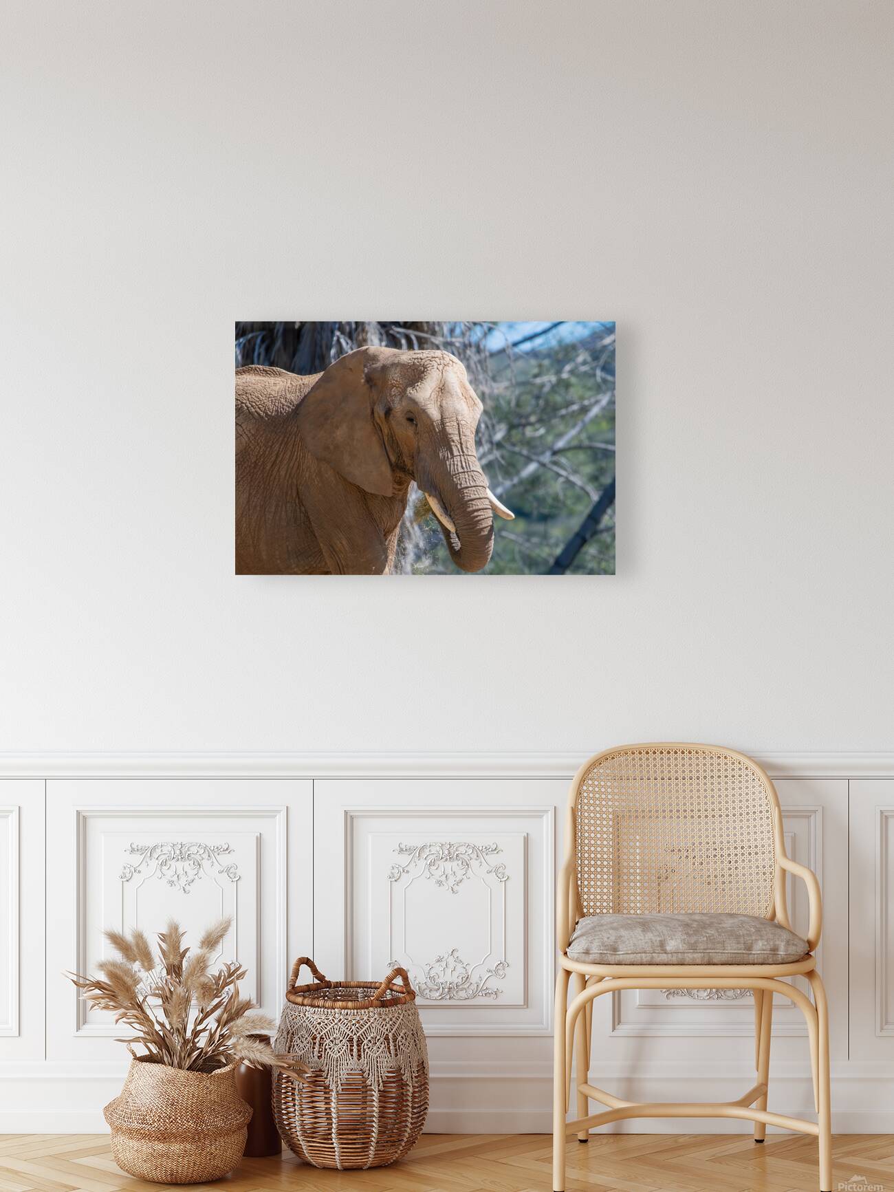 Elephant 7937 Reproduction