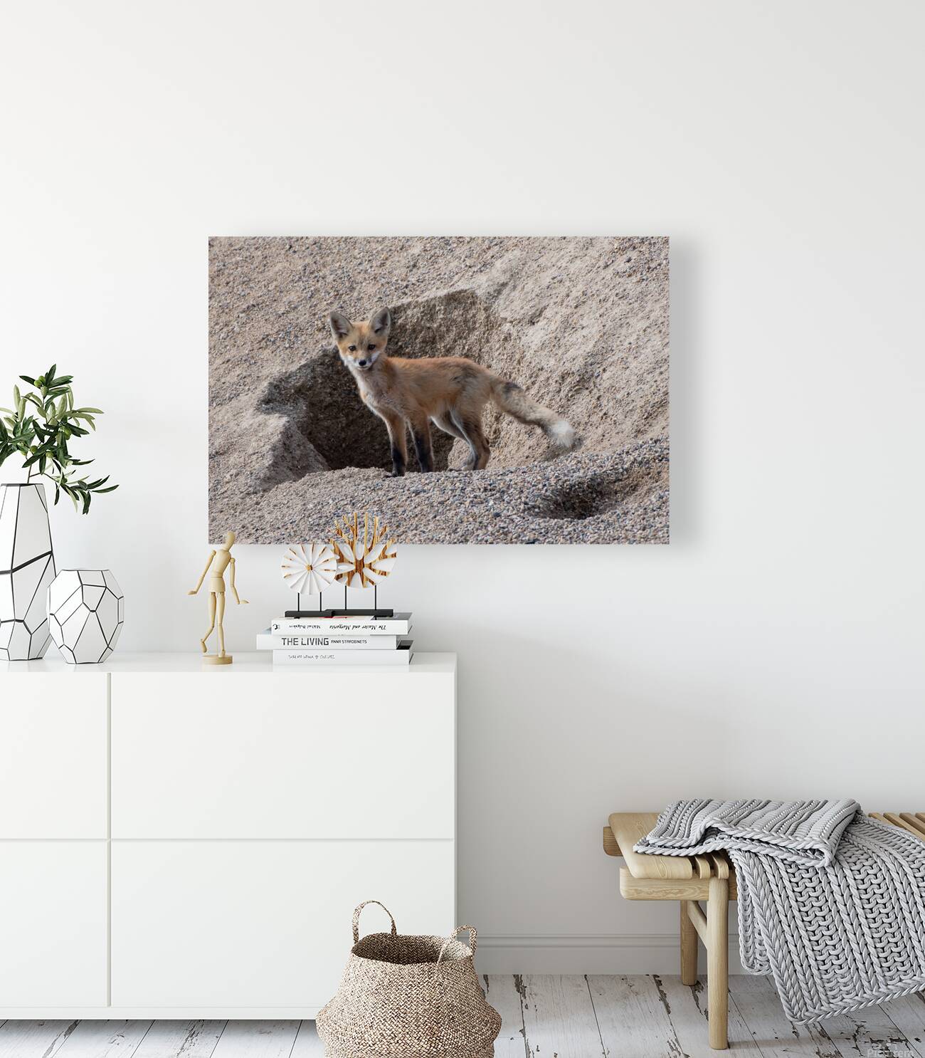 Red Fox 9081 Reproduction