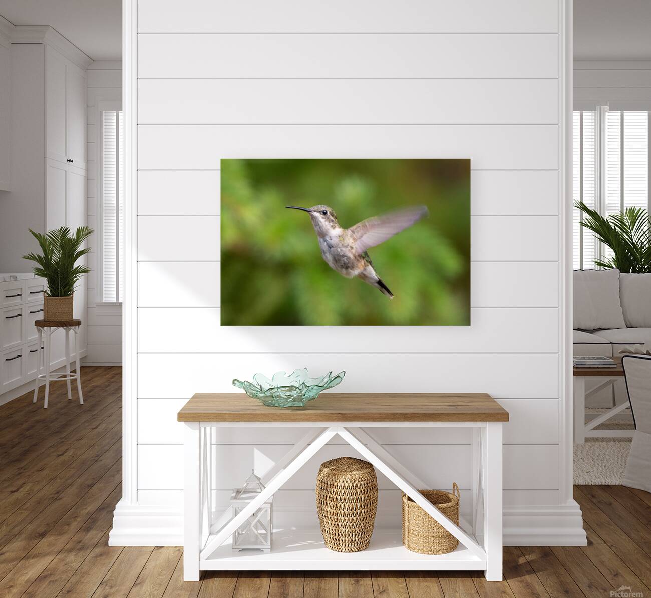 Female Ruby throated Hummingbird 1425 Reproduction