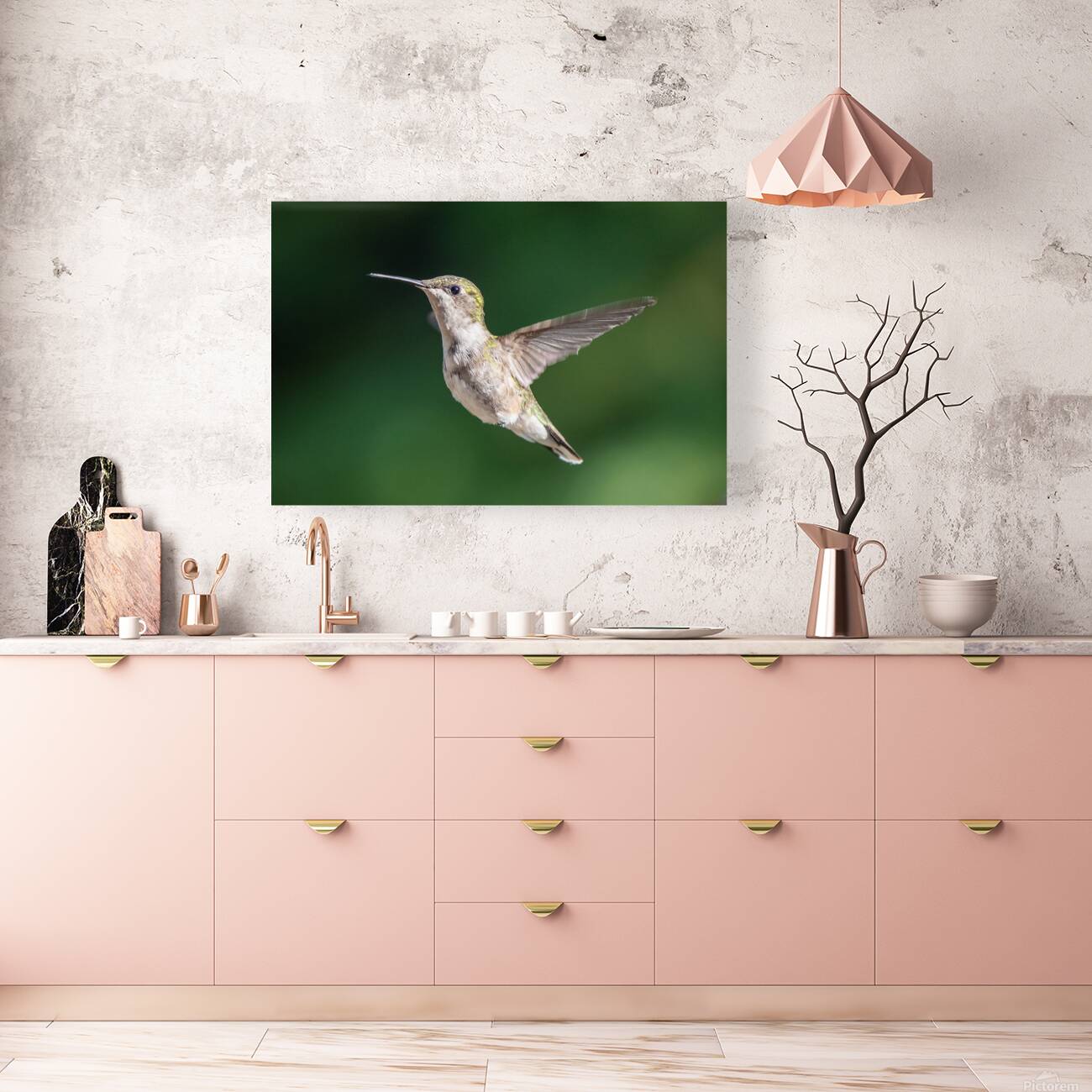 Female Ruby throated Hummingbird 0974 Reproduction