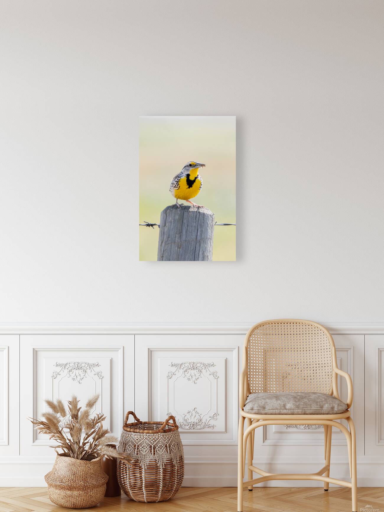 Western Meadowlark 0428 Reproduction