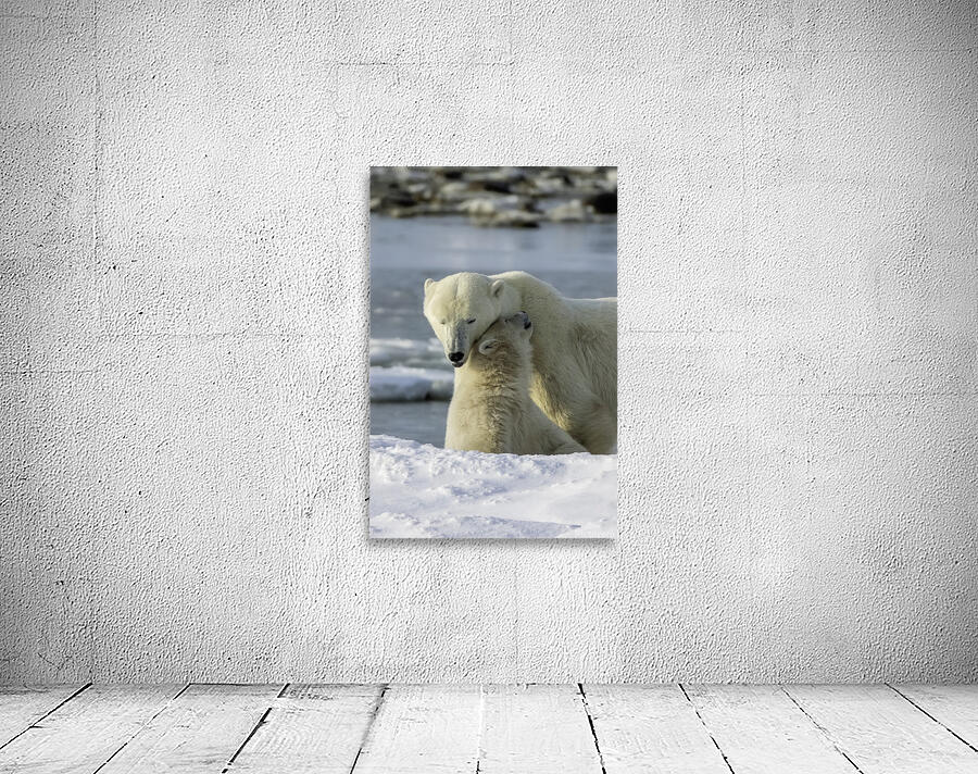Polar Bear Mother and Cub Wall Preview