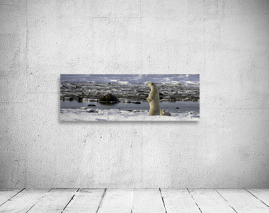 Polar Bear Mother Standing Wall Preview