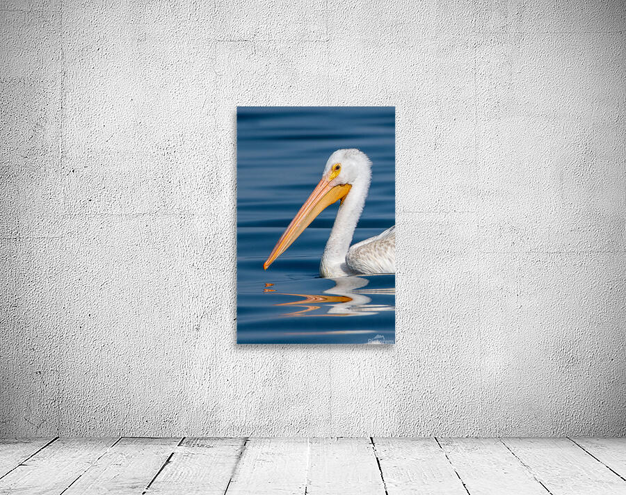 Pelican 1531 Wall Preview