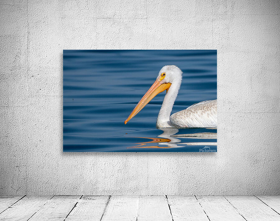 Pelican 1530 Wall Preview