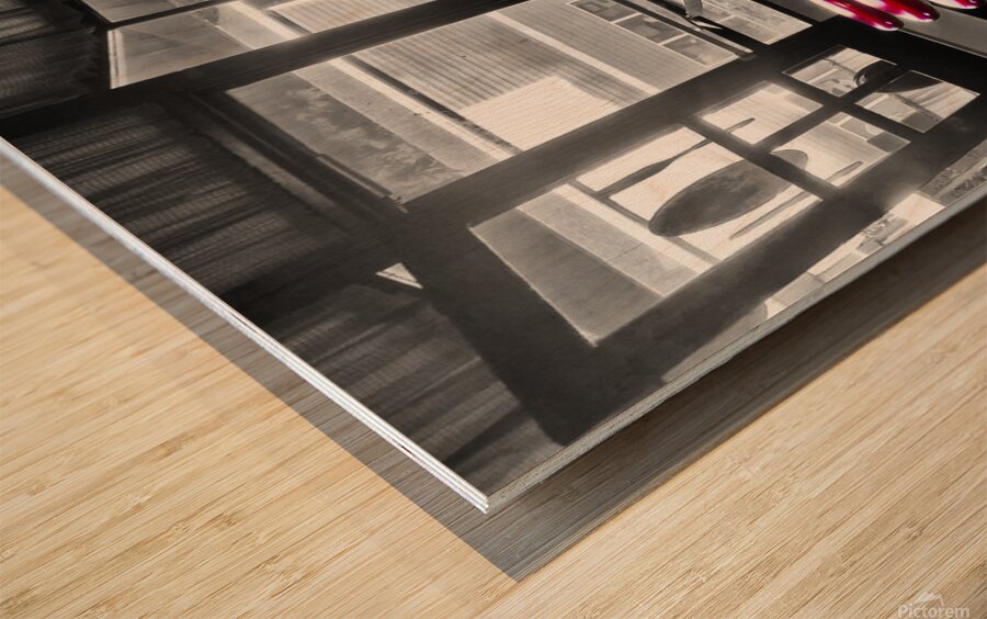 12x24 Blue Bird Stools Wood print