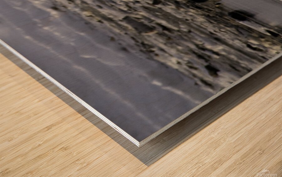 Polar Bear Mother Standing Wood print