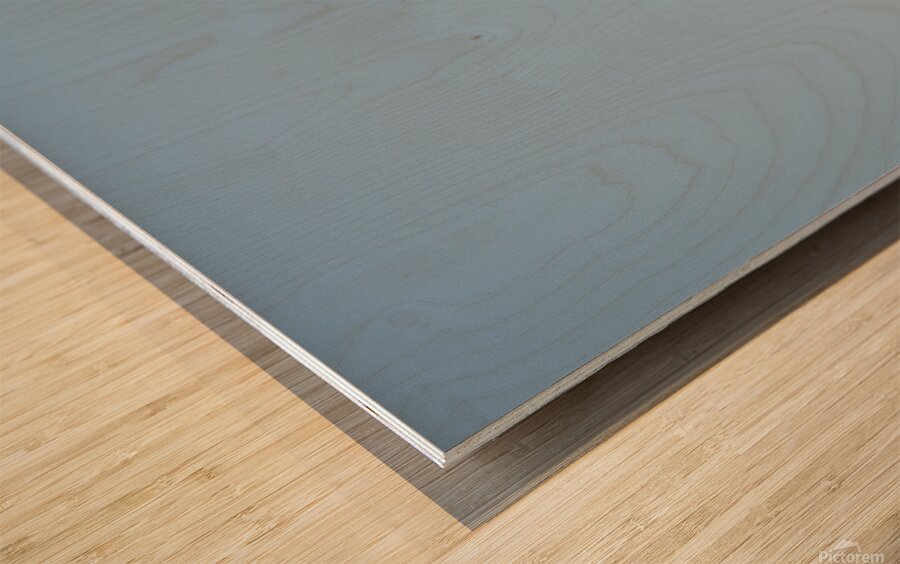 Pelicans 0651 Wood print