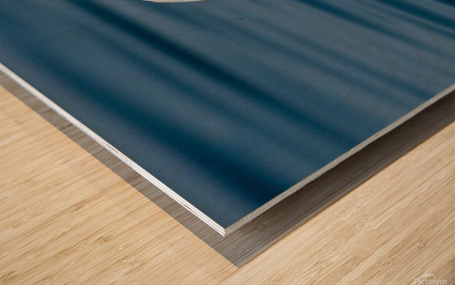 Pelican 1531 Wood print