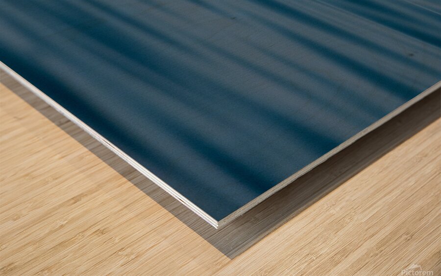 Pelican 1530 Wood print